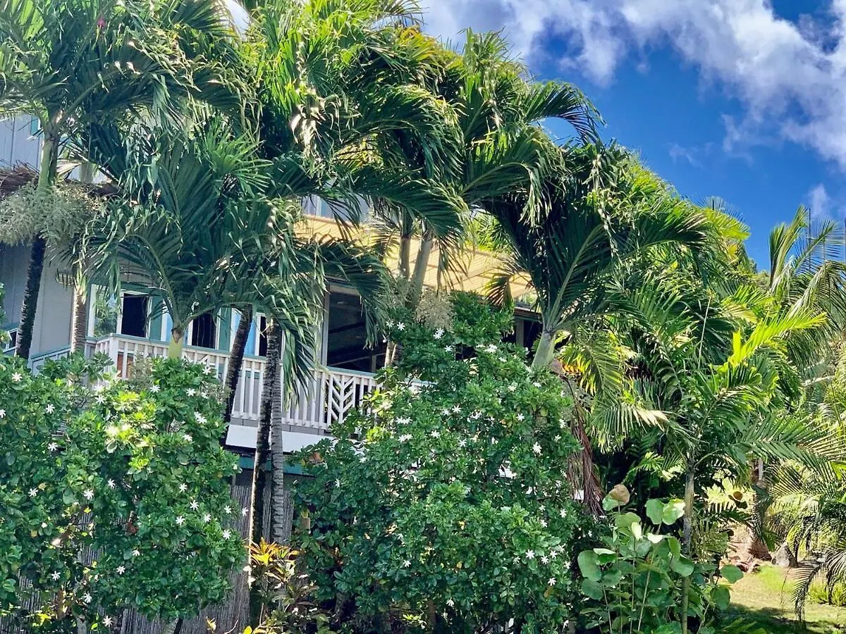 Semesterbostad Waimea Bay Tropical Retreat With Pool And Jacuzzi Villa Haleiwa