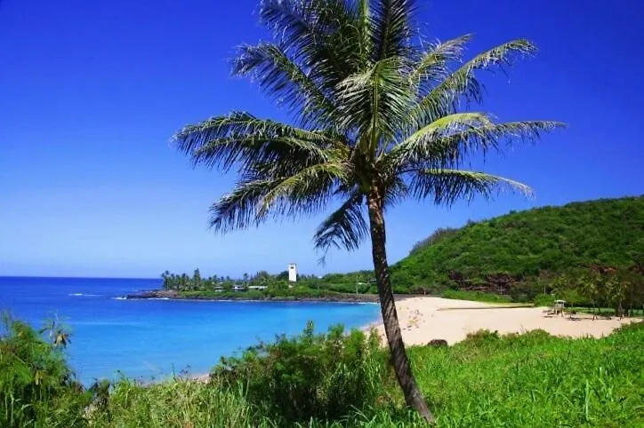 Semesterbostad Waimea Bay Tropical Retreat With Pool And Jacuzzi Villa Haleiwa