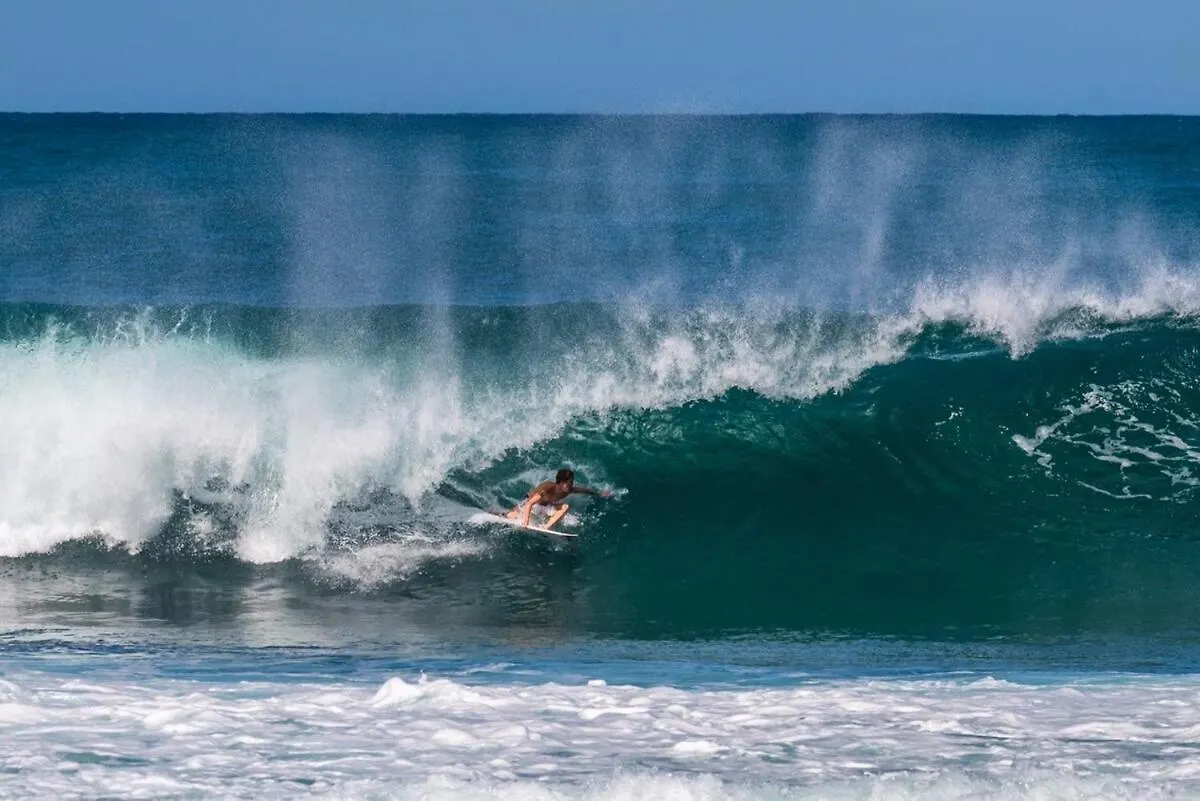 Waimea Bay Tropical Retreat With Pool And Jacuzzi Villa Haleiwa