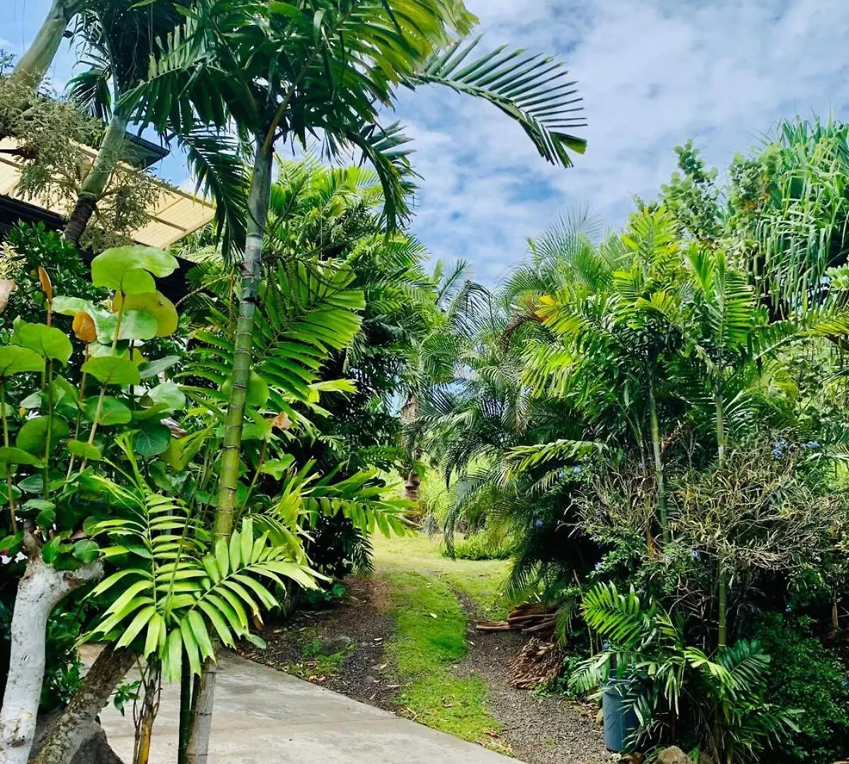 Semesterbostad Waimea Bay Tropical Retreat With Pool And Jacuzzi Villa Haleiwa USA